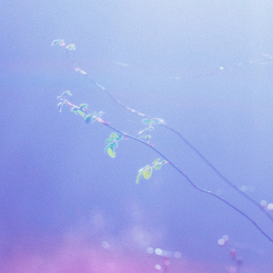 国产私拍精品福利
