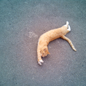 国产私拍精品福利
