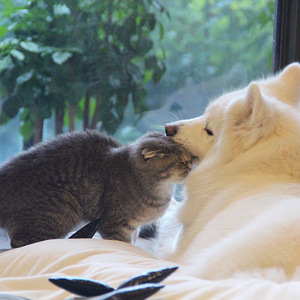 国产私拍精品福利
